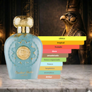 DECANT - OPULENT DUBAI LATTAFA
