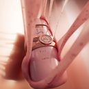 DECANT - YARA ELIXIR LATTAFA